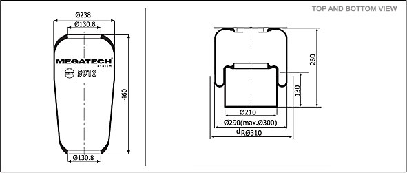 5916 L1