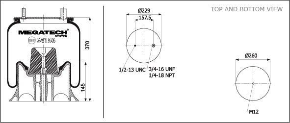 24156 Kp10