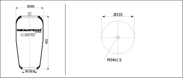 24757 P1