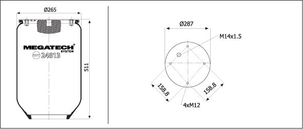 24813 P