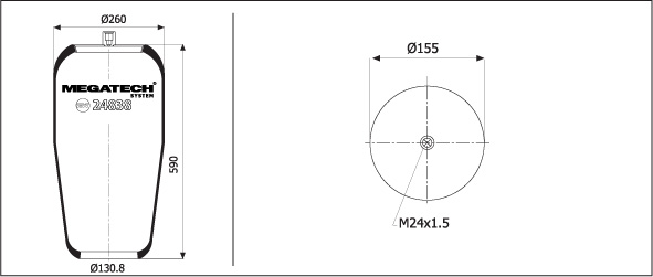 24838 P1