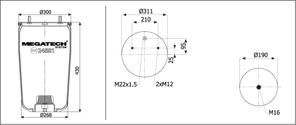 24881 P02