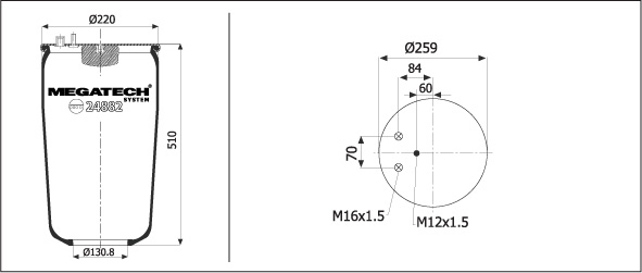 24882 P02