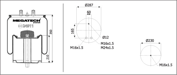 24911 K03