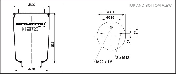 22725 P