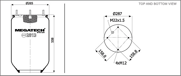 2813 P