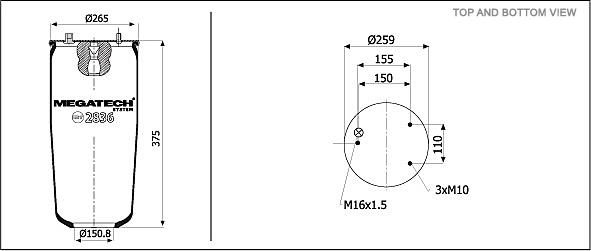 2836 P1