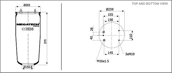 2836 P2