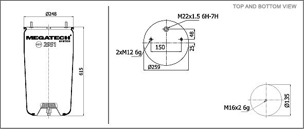 2951 P