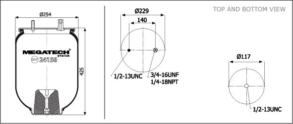 24156 P01