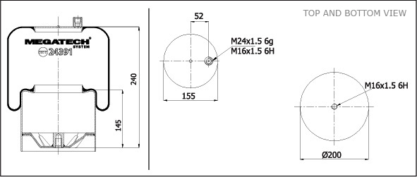 24391 K01