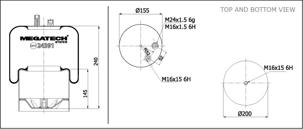 24391 K02