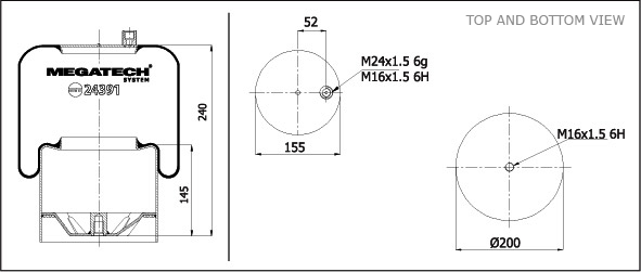 24391 K21