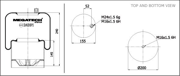 24391 K21
