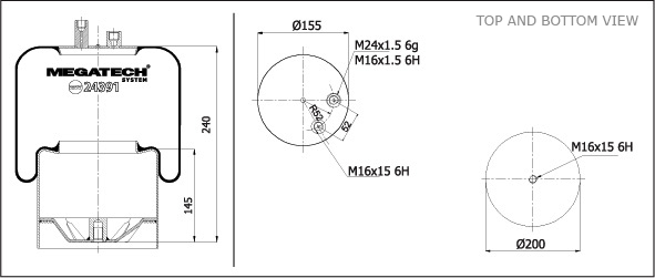24391 K22