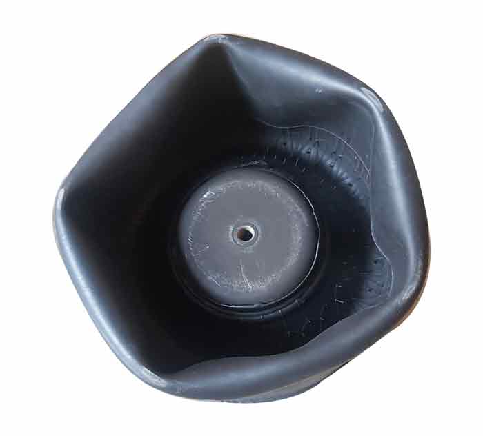 24156 P05