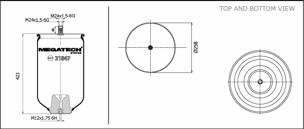 21847 P