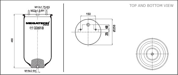 22618 P02
