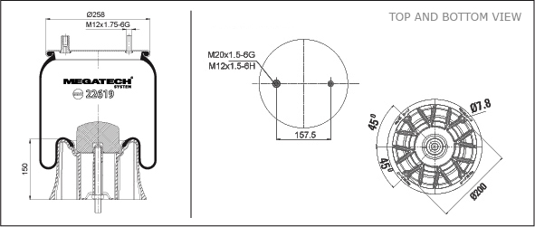 22619 K P01