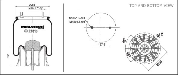 22619 K P01