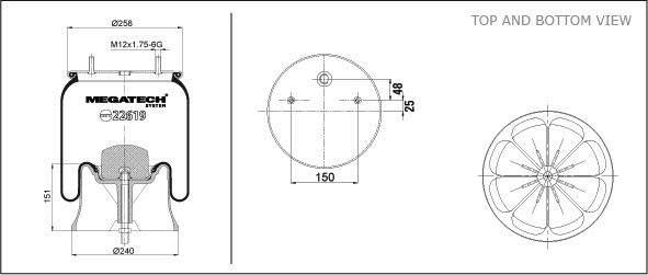 22619 K P02