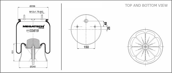 22619 K P02