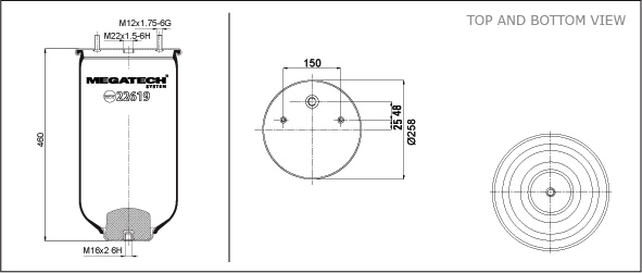 22619 P