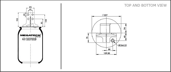 227023 P01