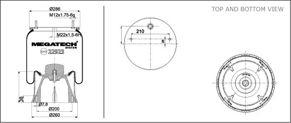 22923 P