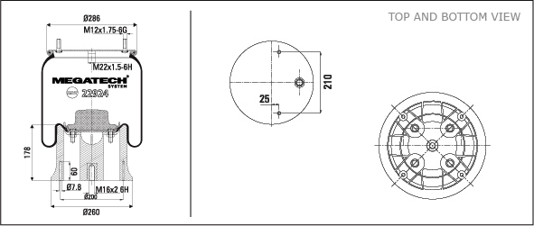 22924 Kp