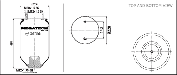 24156 P06