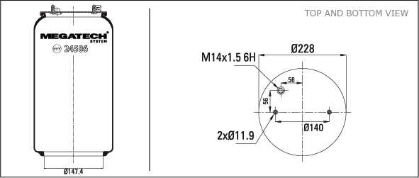 24506 P