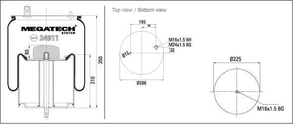 24911 K06