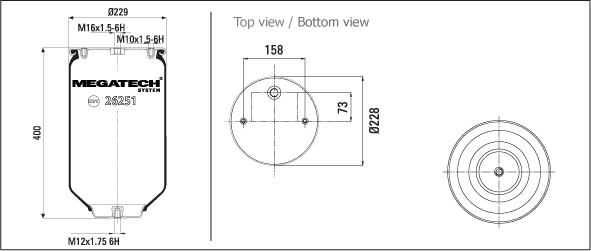 26251 P