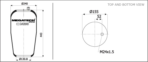 24390 P1